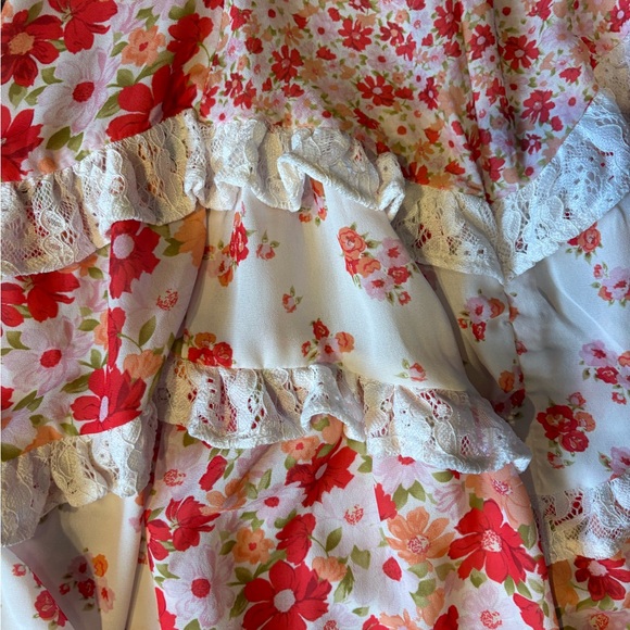 Altar'd State Floral Dress with Lace in Red and Pink - Picture 4 of 5